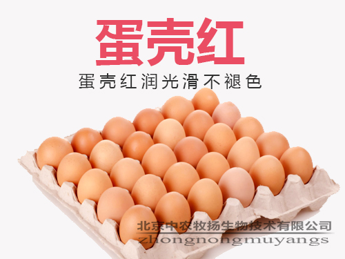 蛋殼紅