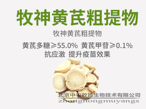 牧神黃芪粗提物 牧神黃芪粗提物
