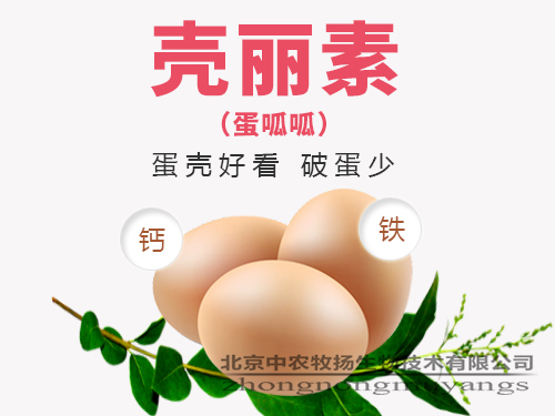 殼麗素(蛋呱呱) 殼麗素(蛋呱呱)