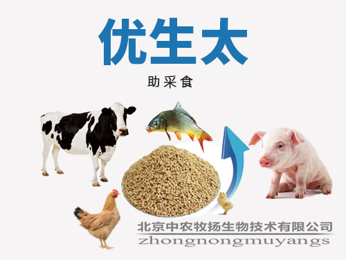 優(yōu)生太
