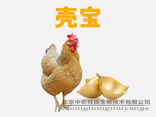 百肽?殼寶