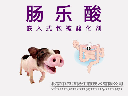 腸樂酸 嵌入式包被酸化劑