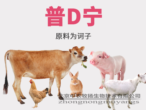普D寧