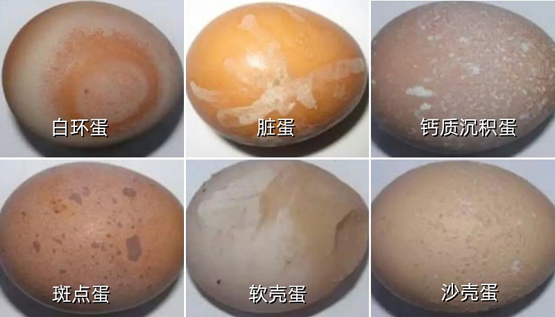 拼圖有標(biāo)