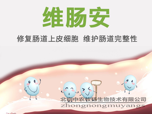 維腸安