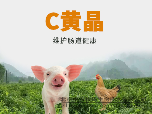 C黃晶 C黃晶
