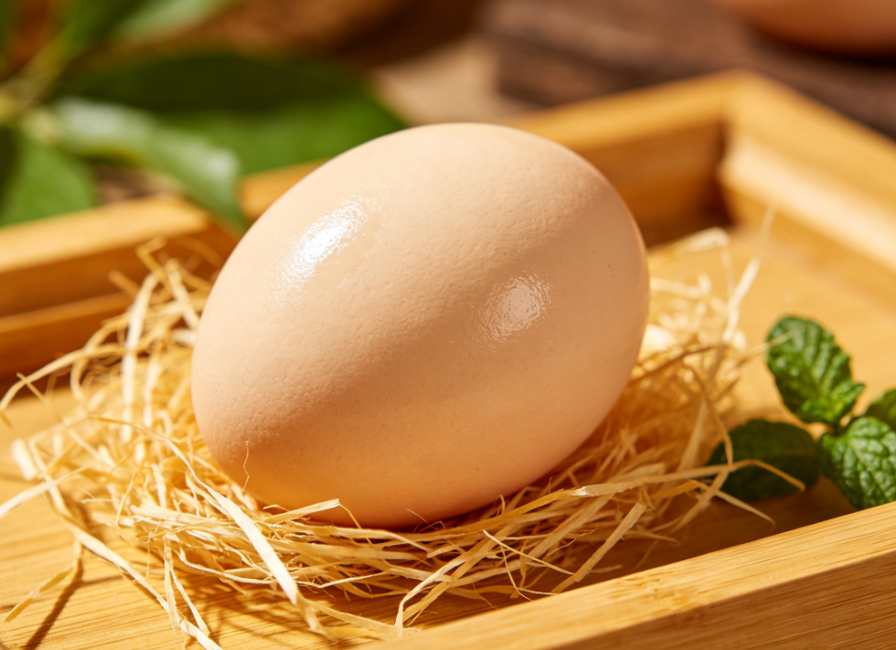 蛋雞養(yǎng)殖：如何應(yīng)對(duì)散黃、腥味與蛋黃發(fā)黑等雞蛋品質(zhì)難題？