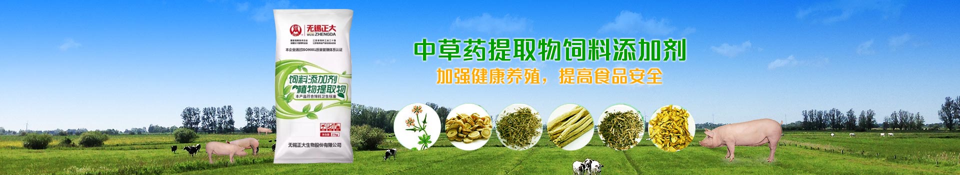 中草藥提取物飼料添加劑，加強健康養(yǎng)殖，提高食品安全