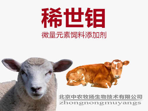 稀世鉬 稀世鉬