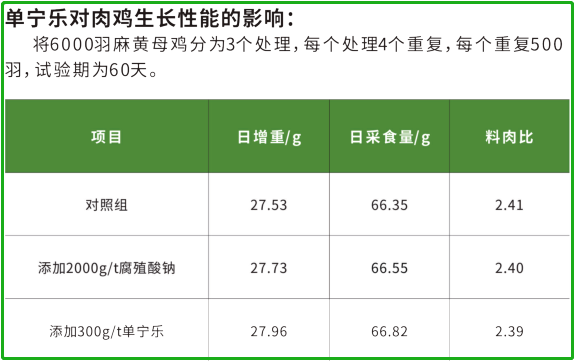 肉雞生長(zhǎng)