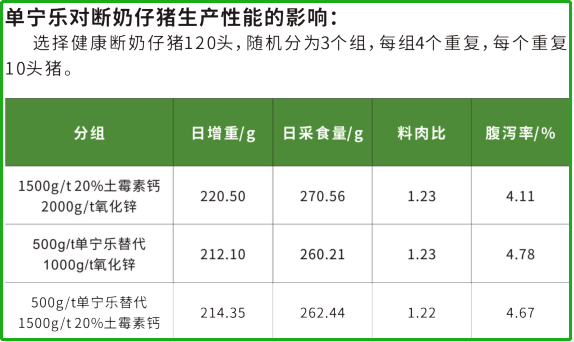 斷奶仔豬