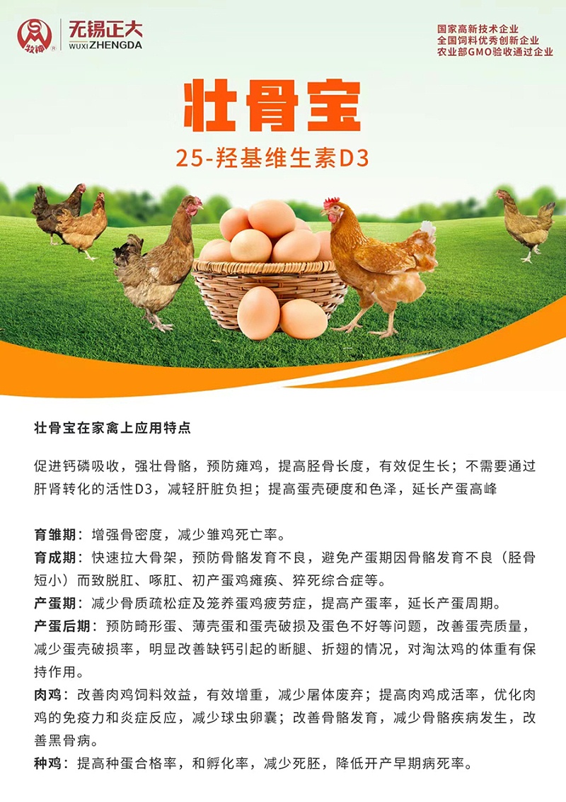 壯骨寶封面