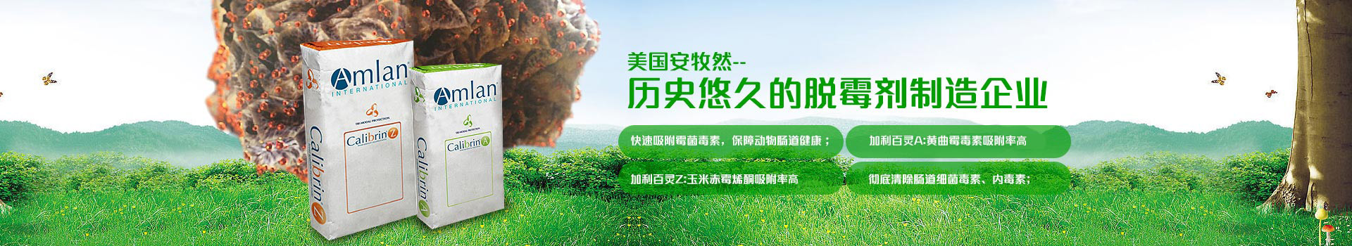 美國安牧然，歷史悠久的脫霉劑制造企業(yè)
